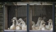(File Photo) / Reuters