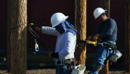 Students training to become electrical linemen attach themselves to poles during class at Los Angeles Trade-Technical College in Los Angeles, in this file photo.  