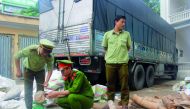 A policeman and a customs officer inspecting seized ivory transported on a truck (background) in the central province of Thanh Hoa, in Vietnam. Authorities have seized nearly three tonnes of ivory hidden among boxes of fruit, officials said, the latest ha