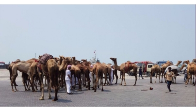 Image representation