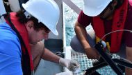 Participants of the scientific team doing research during their trip to the northwestern region of Qatar. 