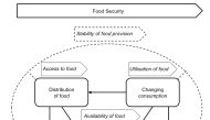A diagram of SAFE-Q’s research report on food waste in Qatar. 