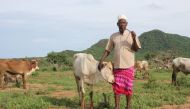  Herder Buchu Boru with his cattle before they are taken out to graze in his village of Arkamana, Marsabit County, Kenya, April 11, 2018. Thomson Reuters Foundation/Anthony Langat