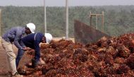 Men work on palm fruits at a palm oil factory in Bomi County, Liberia December 30, 2017. Reuters/Thierry Gouegnon 