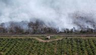 A wooden house is pictured at a palm oil plantation as smoke covers trees due to forest fires near Banjarmasin in South Kalimantan province, Indonesia, September 29, 2019. Reuters/Willy Kurniawan