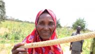 Farmer Aissa Bale Bale holds a millet cob on her plot of land in Borgo Beri, Niger, on Sept. 13, 2019. Thomson Reuters Foundation/Sebastien Malo