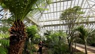FILE PHOTO: A gardener waters plants inside the newly restored Victorian Temperate House in Kew Gardens, London, Britain, May 3, 2018. REUTERS/Toby Melville/File Photo