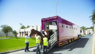 Workers guiding a horse to the Longines Arena at Al Shaqab ahead of the competition.