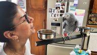 Luca, a parrot that has learnt to mimic and say the words, 