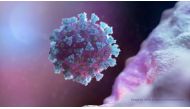 A computer image created by Nexu Science Communication together with Trinity College in Dublin, shows a model structurally representative of a betacoronavirus which is the type of virus linked to COVID-19, better known as the coronavirus linked to the Wuh