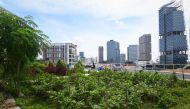 This photograph taken on September 7, 2020, shows the general view of a rooftop garden used for urban farming to grow edible plants above the Raffles City mall in Singapore. AFP / Roslan RAHMAN 
