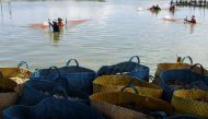 Shrimp farmers harvest in a pool in Soc Trang province, Vietnam, April 27, 2021. Picture taken April 27, 2021. REUTERS/Thanh Hue