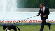 U.S. President Barack Obama runs with his new pet dog Bo, a six-month old male Portuguese water dog, on the South Lawn at the White House in Washington, April 14, 2009. REUTERS/Jim Young/File Photo