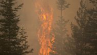 The Bootleg Fire burns through vegetation near Paisley, Oregon, U.S., July 20, 2021. REUTERS/David Ryder