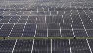 Solar panels are pictured in a solar park in Lottorf, Germany July 30, 2021. REUTERS/Fabian Bimmer/File Photo