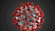 The ultrastructural morphology exhibited by the 2019 Novel Coronavirus (2019-nCoV), which was identified as the cause of an outbreak of respiratory illness first detected in Wuhan, China, is seen in an illustration released by the Centers for Disease Cont