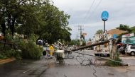 A fallen tree and electricity pole are pictured as Hurricane Nora approaches Manzanillo, in Colima state, Mexico August 28, 2021. REUTERS/Jesus Lozoya 