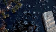 Methane bubbles are seen in an area of marshland at a research post at Stordalen Mire near Abisko, Sweden, on August 1, 2019. Reuters/Hannah McKay/File Photo