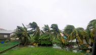 Damaged palm trees sit after Hurricane Lisa bore down on Belize City on Wednesday, the U.S. National Hurricane Center (NHC) reported in a bulletin, in west Landivar suburb, Belize City, Belize November 2, 2022. Reuters/Jose Sanchez 