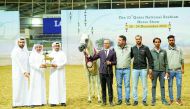 Sultan Al Shaqab's owners receiving the Gold Senior Stallions Championship award. Pics: Juhaim