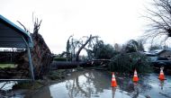A tree blocks a roadway after it fell in high winds during a winter storm in West Sacramento, California, U.S. January 8, 2023. REUTERS/Fred Greaves/File Photo