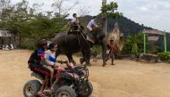 A Chinese tourist rides on an elephant in a jungle park ahead of Lunar New Year in Phuket, Thailand January 20, 2023. REUTERS/Jorge Silva