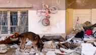 A rescue dog searches for victims and survivors, in the regime-controlled town of Jableh in the province of Latakia, northwest of the Syrian capital, on February 12 2023, in the aftermath of a deadly earthquake. (Photo by Karim SAHIB / AFP)