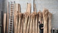 Jacobus van Hoorne, a 37-year-old former physicist at Cern and now reed farmer, checks stacks of reed at his storage at Weiden am See, Austria on March 9, 2023. Photo by JOE KLAMAR / AFP
