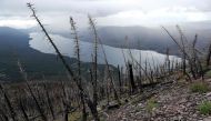 With Lake McDonald 4,300 feet below, trees burned by the 2017 Sprague Creek Fire stand along the steep trail to the Mt. Brown Lookout Station September 17, 2019 in Glacier National Park, Montana.  (Photo by Chip Somodevilla / Getty Image NA / AFP)