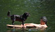 A man swims with his dog in a canal in Beijing on June 22, 2023. Photo by GREG BAKER / AFP