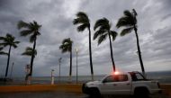 Palm trees withstand the wind in Puerto Vallarta, Jalisco State, Mexico, on October 10, 2023, as Hurricane Lidia came ashore near this popular beach resort in the Mexican Pacific coast. Photo by Ulises RUIZ / AFP