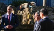 Wang Wang the panda (top) chews a box as South Australian Premier Peter Malinauskas and China's Premier Li Qiang listen to a zoo ranger at the Adelaide Zoo in Adelaide on June 16, 2024. (Photo by Asanka Ratnayake / Pool/ AFP)