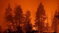 Trees burn through the night east of the small community of Payne Creek as the Park Fire, which has grown to 353,194 acres and is 10 percent contained, continues its spread on July 27, 2024 near Chico, California. Photo by DAVID MCNEW / GETTY IMAGES NORTH AMERICA / Getty Images via AFP