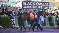 Strapper Donna Fisher parades Australian thoroughbred racehorse Black Caviar in the mounting yard for the last time during her farewell at Caulfield Racecourse in Melbourne on April 20, 2013. (Photo by PAUL CROCK / AFP)