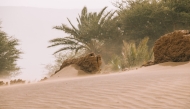 Representational image
