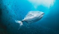 Stock image from Freepik used for representational purposes
