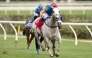 Haunted Dream was ridden to success by Rafael Manuel Hernandez. PIC: Mickael Burns