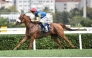 Daniel Tudhope guides RB Mary Lylah to victory. Pictures: Turkish Jockey Club