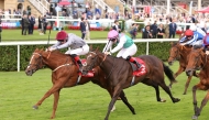 Aylin, with David Egan in the saddle, competes in the race. PIC: Steve Davies