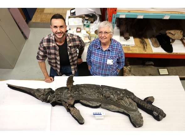 This undated handout image received in London from The University of Manchester on October 10, 2025 shows, Dr Dean Lomax (L) and Professor Judy Massare (R) posing beside the skeleton of the newly named sword dragon ichthyosaur, Xiphodracon goldencapensis, at the Royal Ontario Museum, Toronto, Canada. (Photo by University of Manchester / AFP)