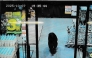 This handout photo taken on October 7, 2025 and released by Gunma Prefectural Police via Jiji Press shows CCTV camera footage of a bear walking inside a supermarket in Numata, Gunma prefecture. Photo by Handout / various sources / AFP