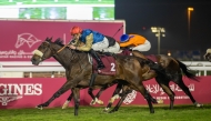 Jockey James Doyle guides Dark Trooper to victory in the Barzan Cup feature race at Al Rayyan Racecourse yesterday. PICS: Juhaim/QREC