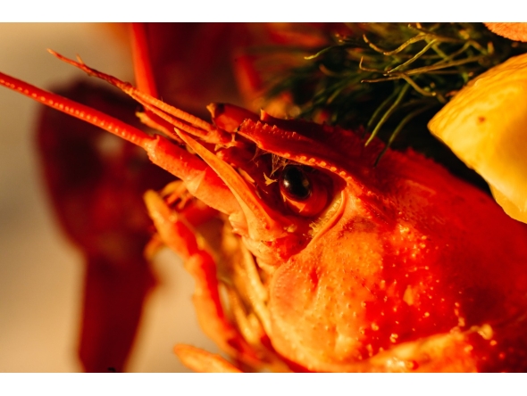 Representational photo. Source: freepik