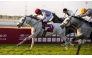 The Derby Trials traditionally provide the first real indicator of form ahead of the Qatar International Derby meeting.