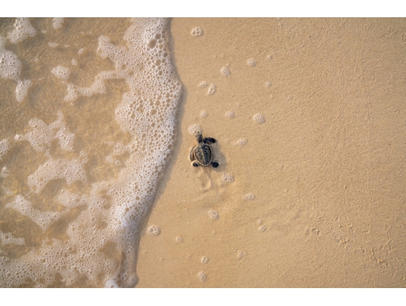 Photo by Azzam Al Mannai at Lehmesa: Return by Moonlight