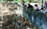 
People feed deer at the Yangon Zoological Gardens, the oldest zoo in Myanmar, celebrated its 120th anniversary on Saturday, January 31, 2026 (Xinhua/Myo Kyaw Soe)