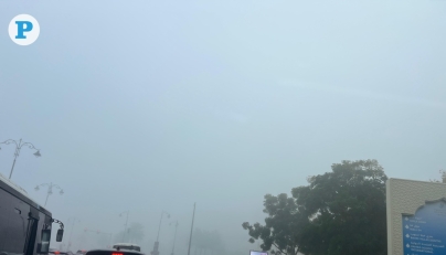 Picture by The Peninsula reader RK Bijukumar 