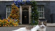 (Files) Larry the cat sits in front of a flower arch of Ukraine's national flower, sunflowers, erected outside Number 10 Downing Street in London on August 24, 2022. (Photo by Susannah Ireland / AFP)