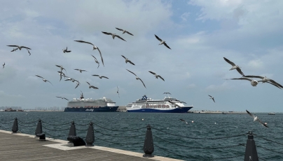 A photograph shows cruise ships moored in the old port of Doha on March 10, 2026. Photo by AFP
