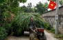 A man drives his farm vehicle loaded with grass in Hanoi on April 3, 2026. (Photo by Nhac NGUYEN / AFP)